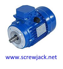 Electric Motor